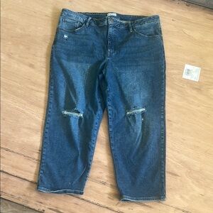 Women Blue Distressed Jeans